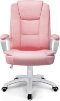Bossin Home Office Chair with Lumbar Support (40% OFF)