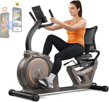 Niceday Recumbent Exercise Bike (24% OFF)