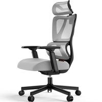 Ergonomic Office Chair with Lumbar Support