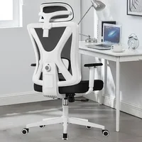 KERDOM Ergonomic Office Chair