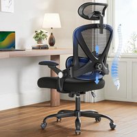 HUANUO Ergonomic Office Chair