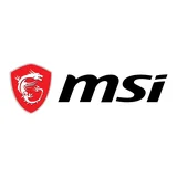 MSI
