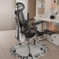 Ergonomic Office Chair with 3D Lumbar Support (27% OFF)