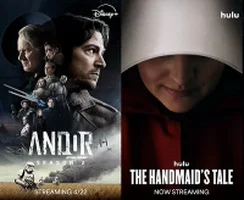 Disney+ with Hulu Streaming (44%)