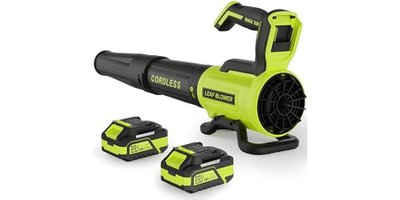 Vinchest Leaf Blower Green (62% OFF)