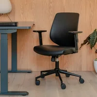 Ergonomic Office Chair, Black Leather (20% OFF)