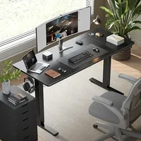SIAGO Electric Standing Desk Adjustable - 48 x 24 Inch Sit Stand up Desk with Cable Management