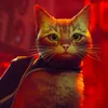 Avatar Stray