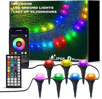 IVRICH 100FT Outdoor Ground Lights, Smart RGB Pathway Lights with APP/Remote Control