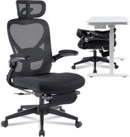 FLEXISPOT Foldex Ergonomic Office Chair, Folding Chair for Small Spaces with Lumbar Support