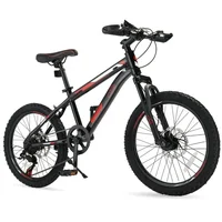 20" Mountain Bike with 7-Speed & Disc Brakes