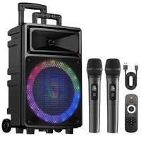 Karaoke Machine with 2 Mics & Bluetooth Speaker