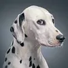 Avatar Nikki89