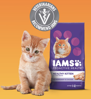 FREE IAMS Kitten Dry Food Sample