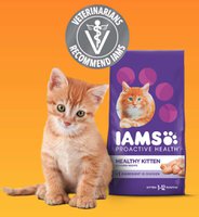 FREE IAMS Kitten Dry Food Sample