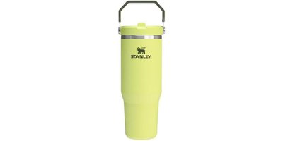 Stanley IceFlow 2.0 Flip Straw Tumbler 30 oz (43% OFF)